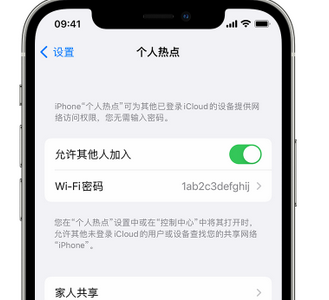 雅江apple服务站点分享iPhone上个人热点丢失了怎么办 