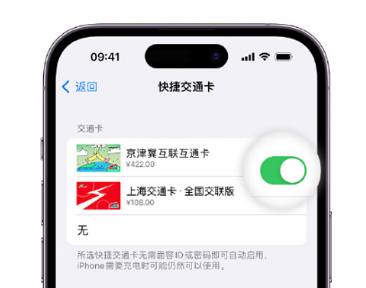 雅江apple维修点分享iPhone上更换Apple Pay快捷交通卡手绘卡面 