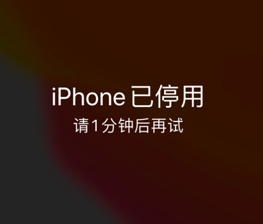 雅江苹果手机维修分享:iPhone 显示“不可用”或“已停用”怎么办？还能保留数据吗？ 