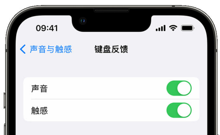 雅江苹果手机维修分享iPhone 14触感键盘使用方法 