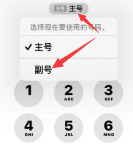 雅江苹果14维修店分享iPhone 14 Pro Max使用副卡打电话的方法 