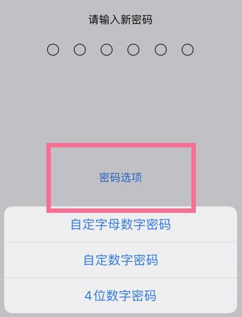 雅江苹果14维修分享iPhone 14plus设置密码的方法 