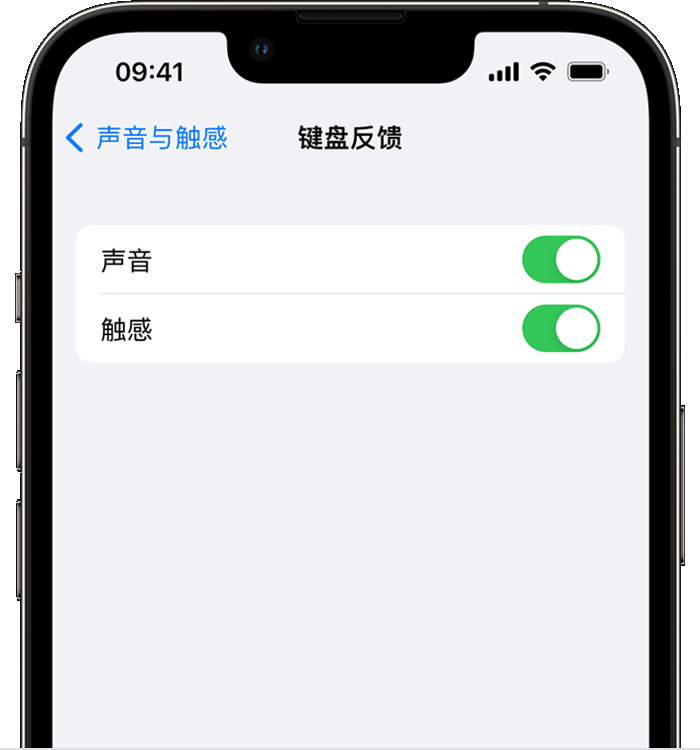 雅江苹果14维修分享iPhone 14 系列机型如何开启键盘声音或触感反馈 