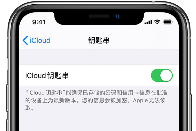 雅江苹果手机维修分享在 iPhone 上开启 iCloud 钥匙串之后会储存哪些信息 